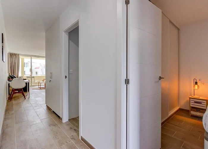 The Butterflies Of Sueno Azul Callao Salvaje